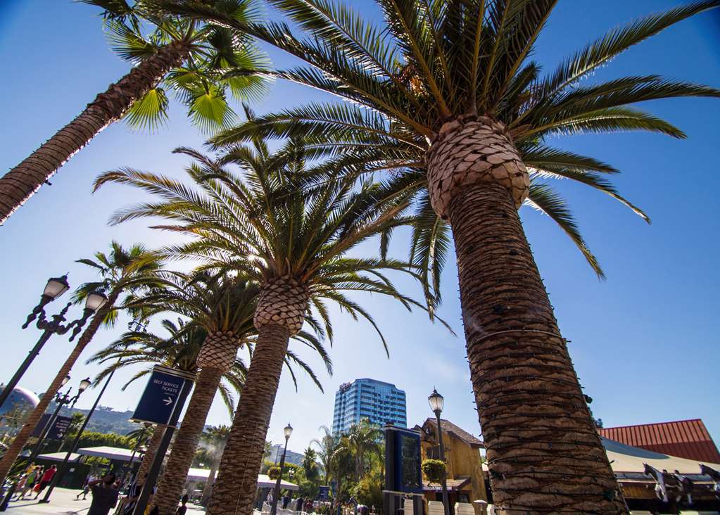 Hilton Los Angeles-Universal City מראה חיצוני תמונה